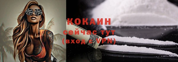 стафф Протвино