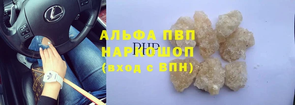 стафф Протвино