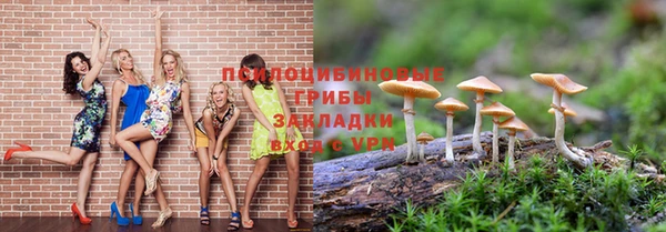 трава Приозерск