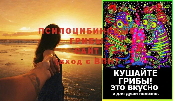 стафф Протвино